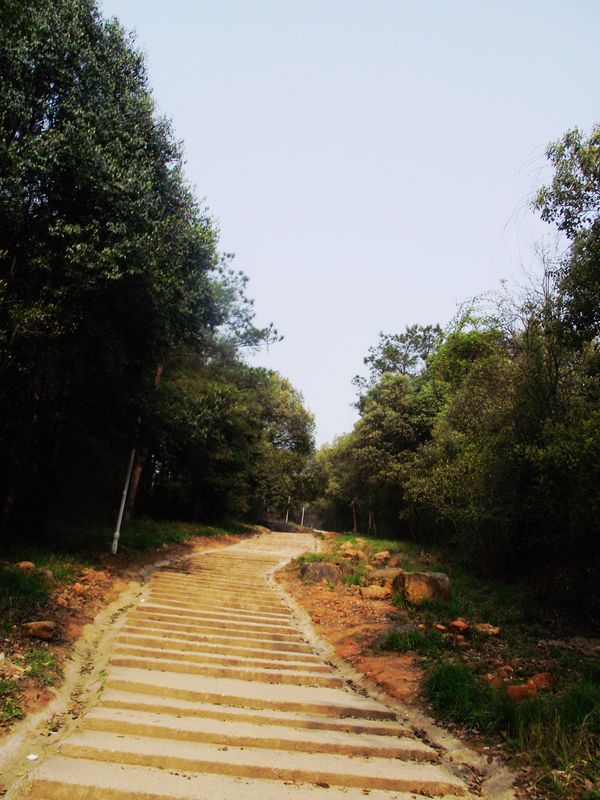 dscf8018.jpg