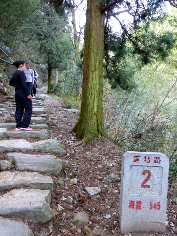 p1030683.jpg
