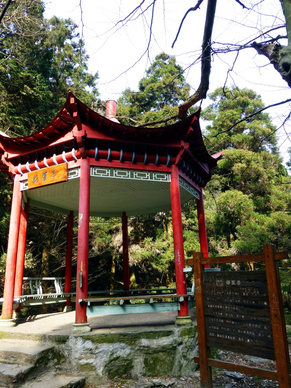p1030685.jpg