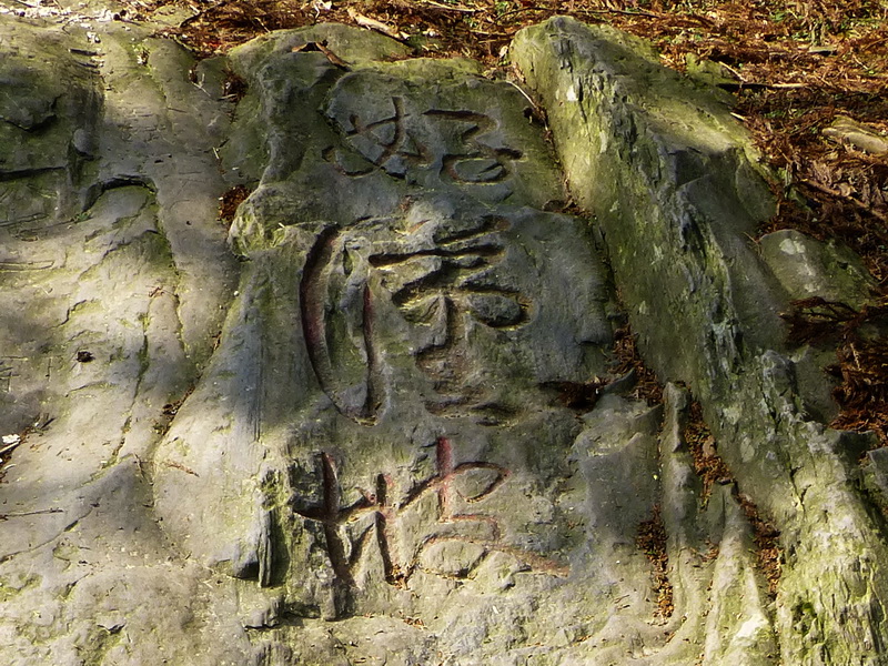 p1030686.jpg