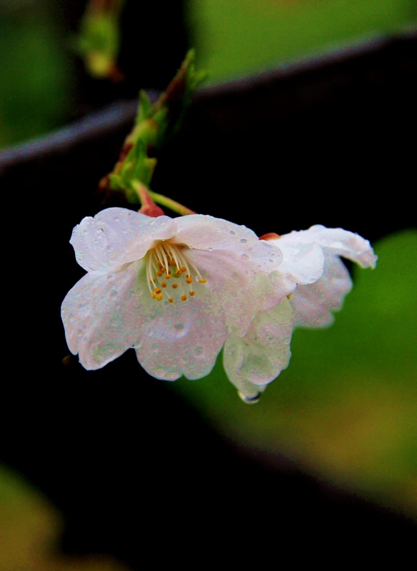 img_6275.jpg