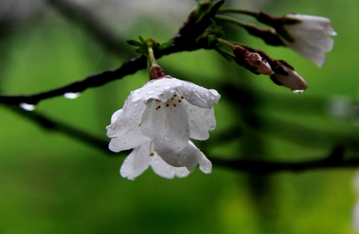 img_6246.jpg
