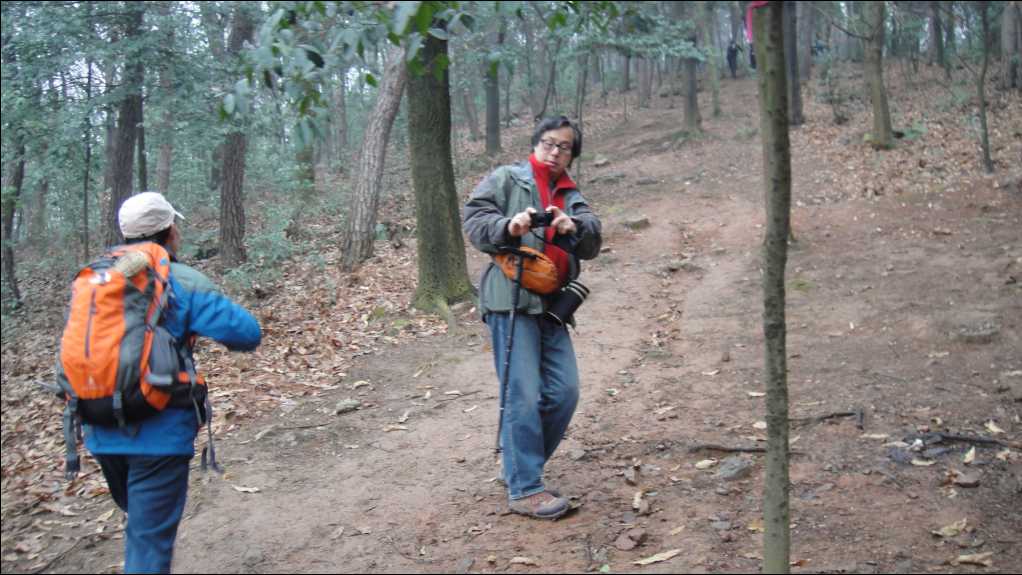 93.jpg