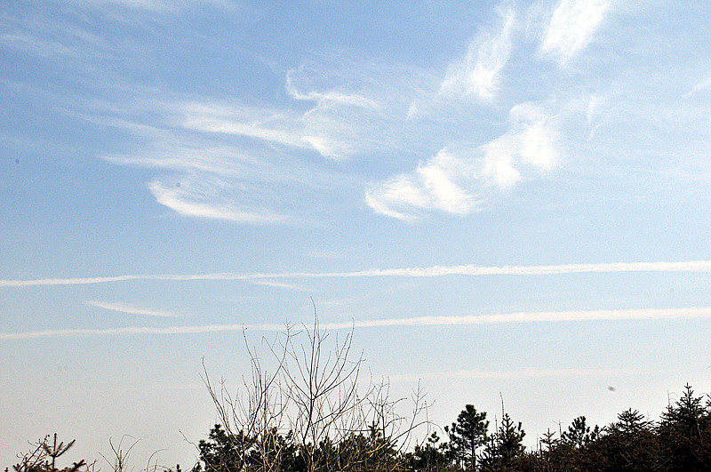 dsc_9763_.jpg
