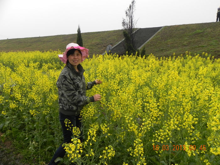 dscn3639.jpg