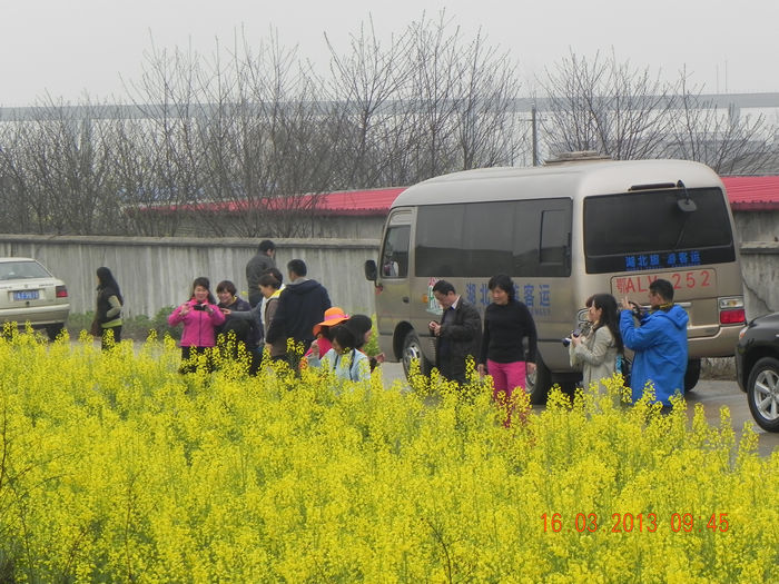 dscn3640.jpg