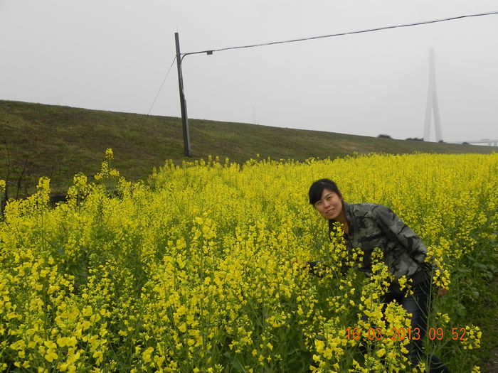 dscn3649.jpg