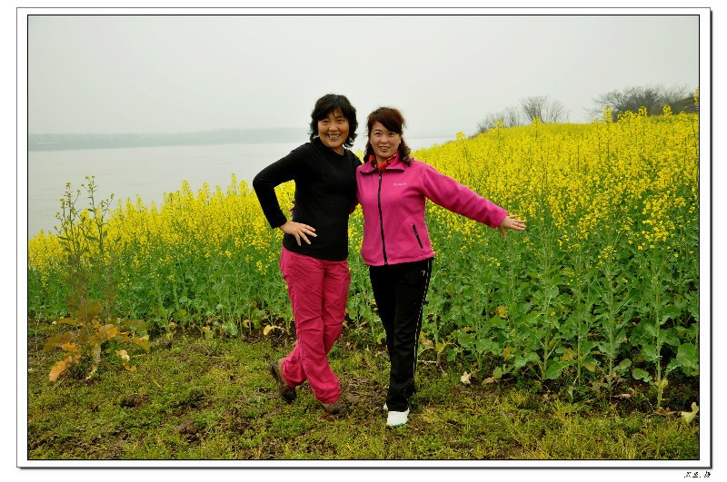 8009_Ŀѹ.jpg