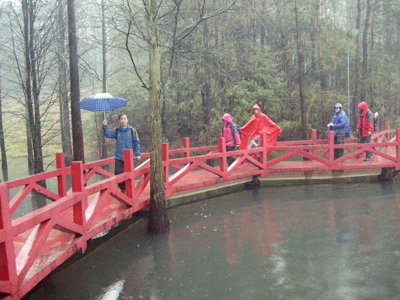 dscn7882.jpg