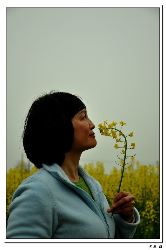 8003_Ŀѹ.jpg