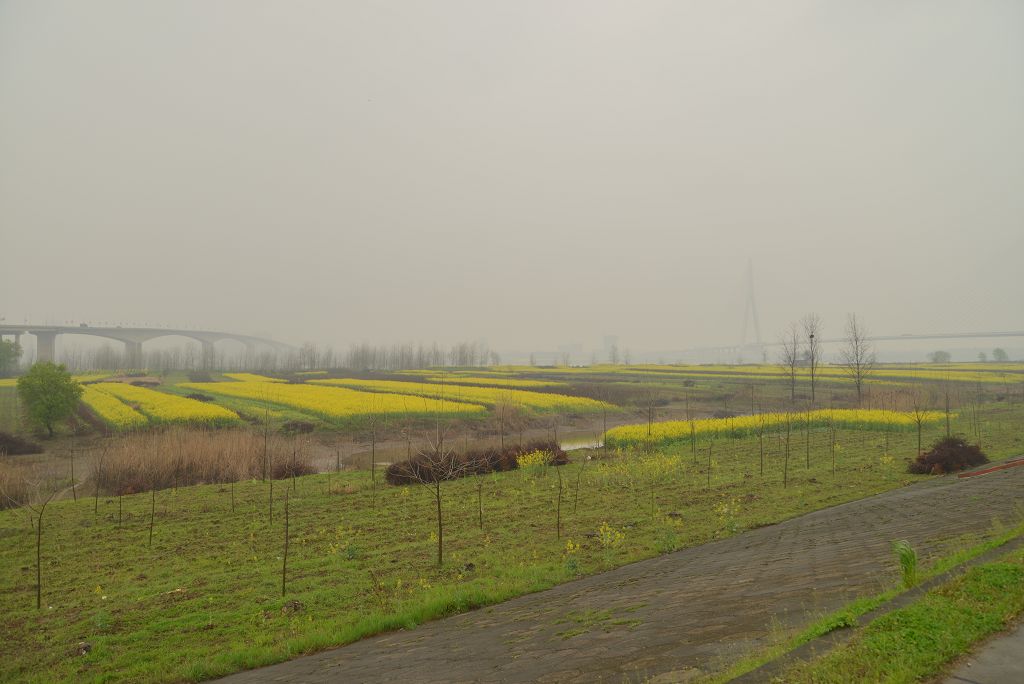 dsc_0653_Ŀѹ.jpg