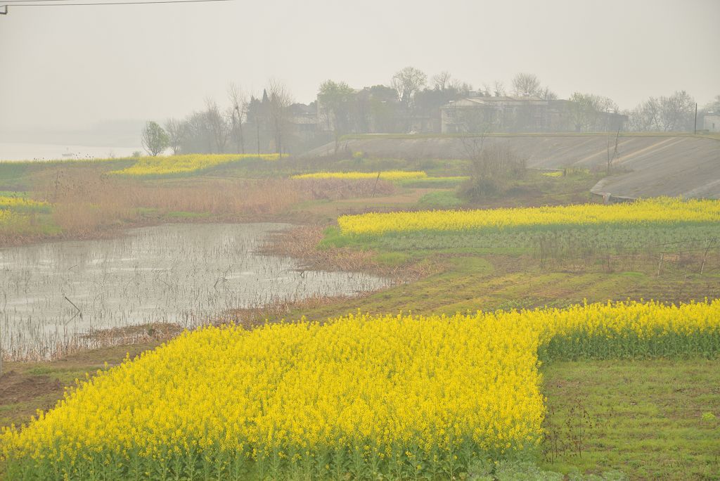 dsc_0672_Ŀѹ.jpg