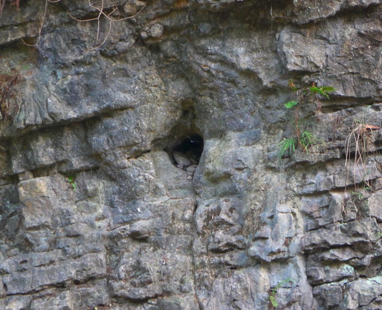 118.jpg
