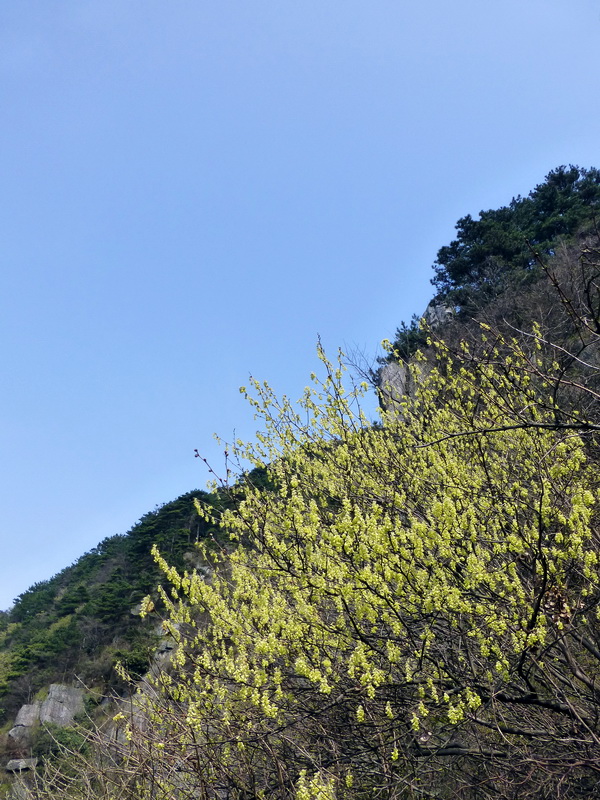 p1030772.jpg