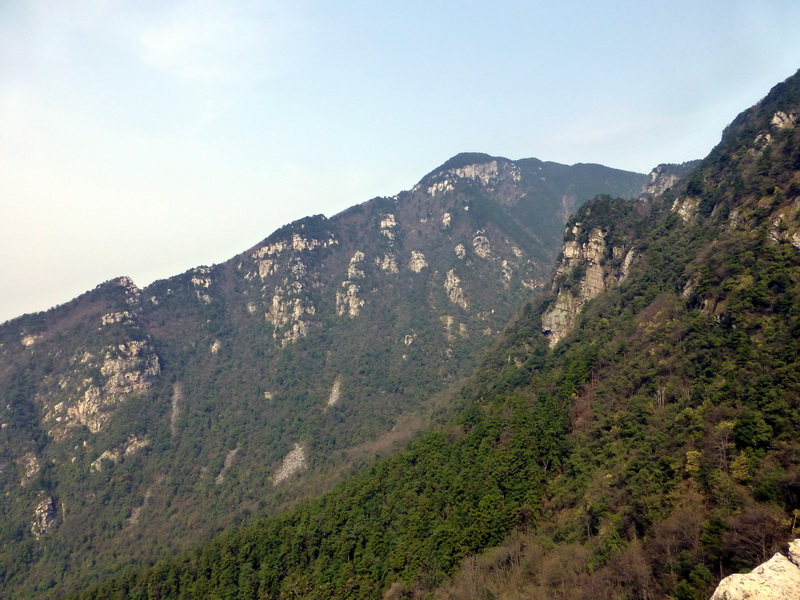 p1030778.jpg