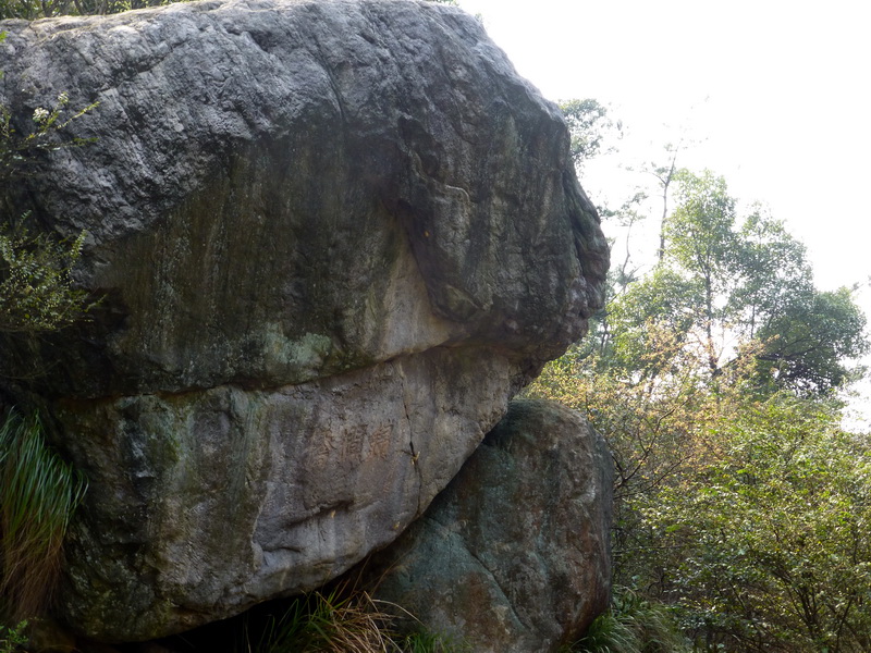 p1030787.jpg