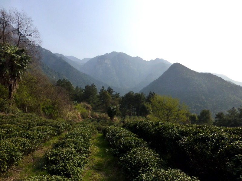 p1030794.jpg