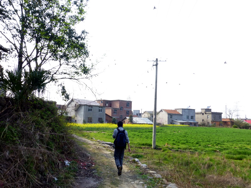 p1030811.jpg
