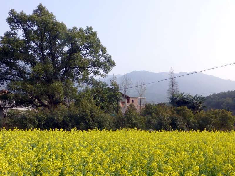 p1030814.jpg