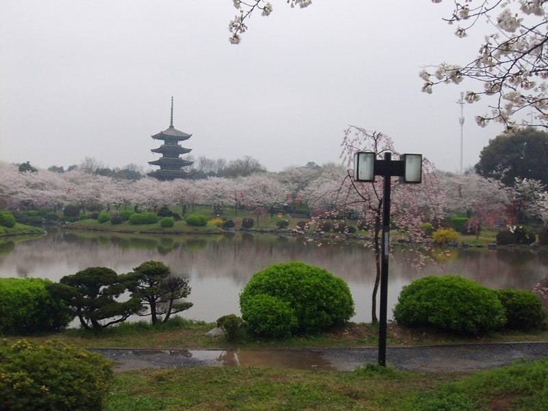 dscf9675_.jpg