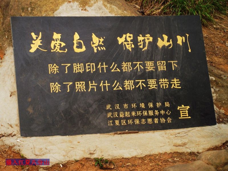 dscf8211.jpg