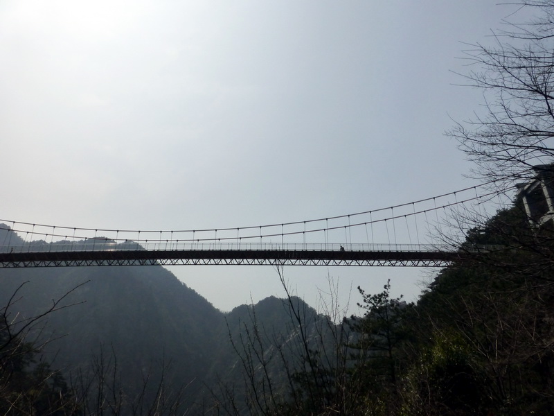p1030749.jpg