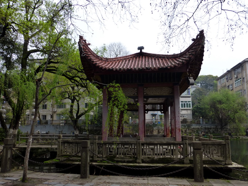 p1030884.jpg