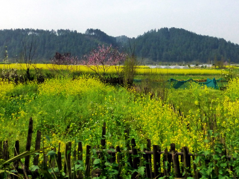 p1030933.jpg