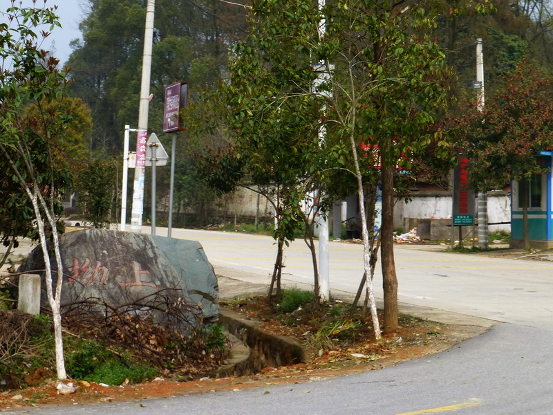 p1030936.jpg