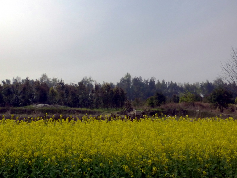 p1030941.jpg