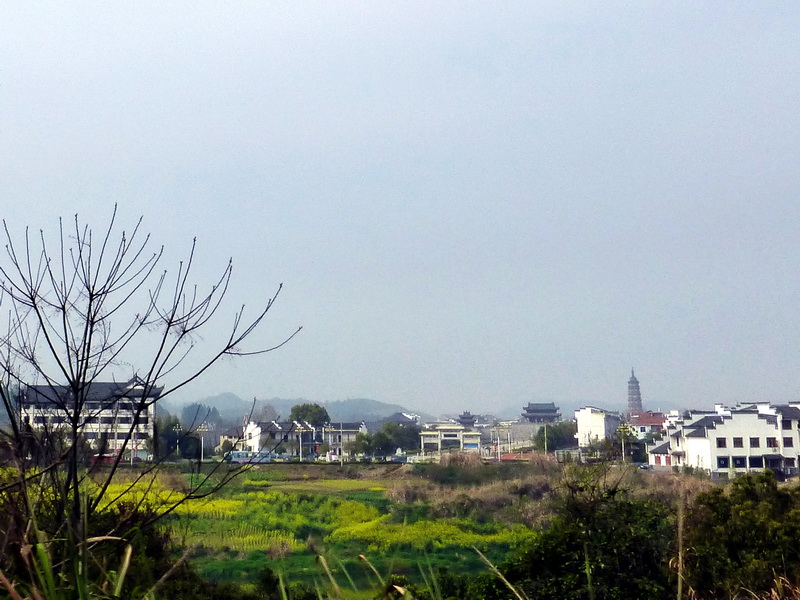 p1030946.jpg