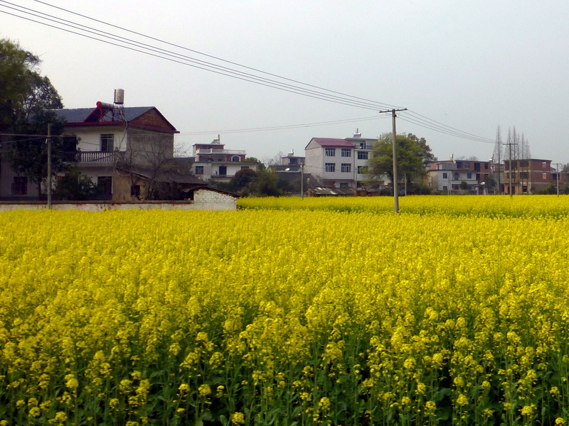 p1030951.jpg