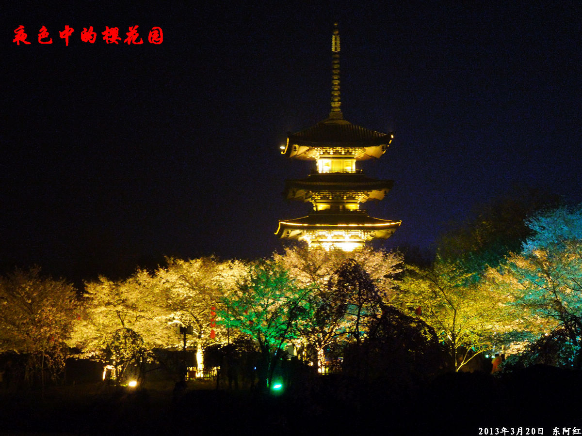 dscn6479.jpg