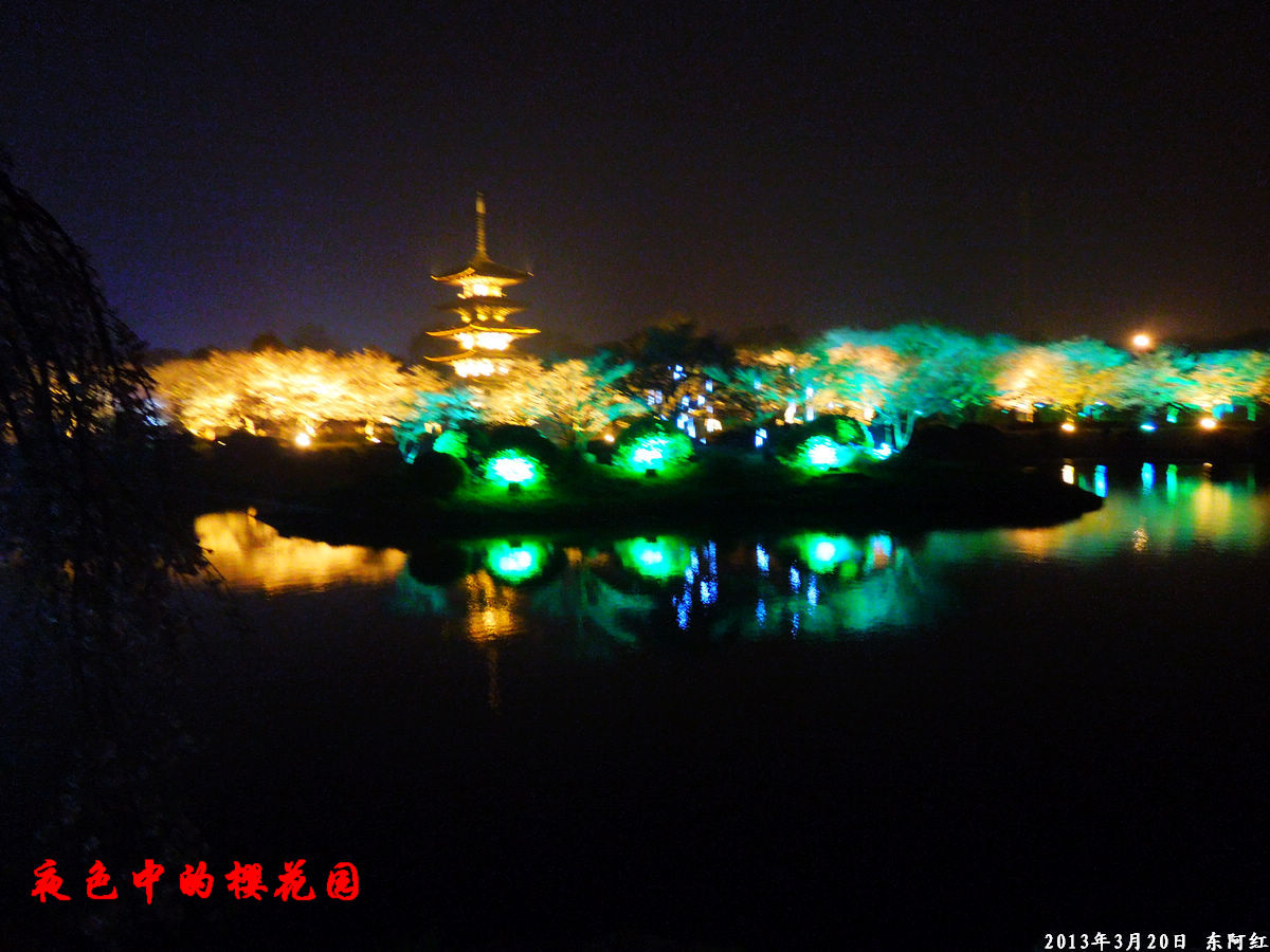 dscn6497.jpg