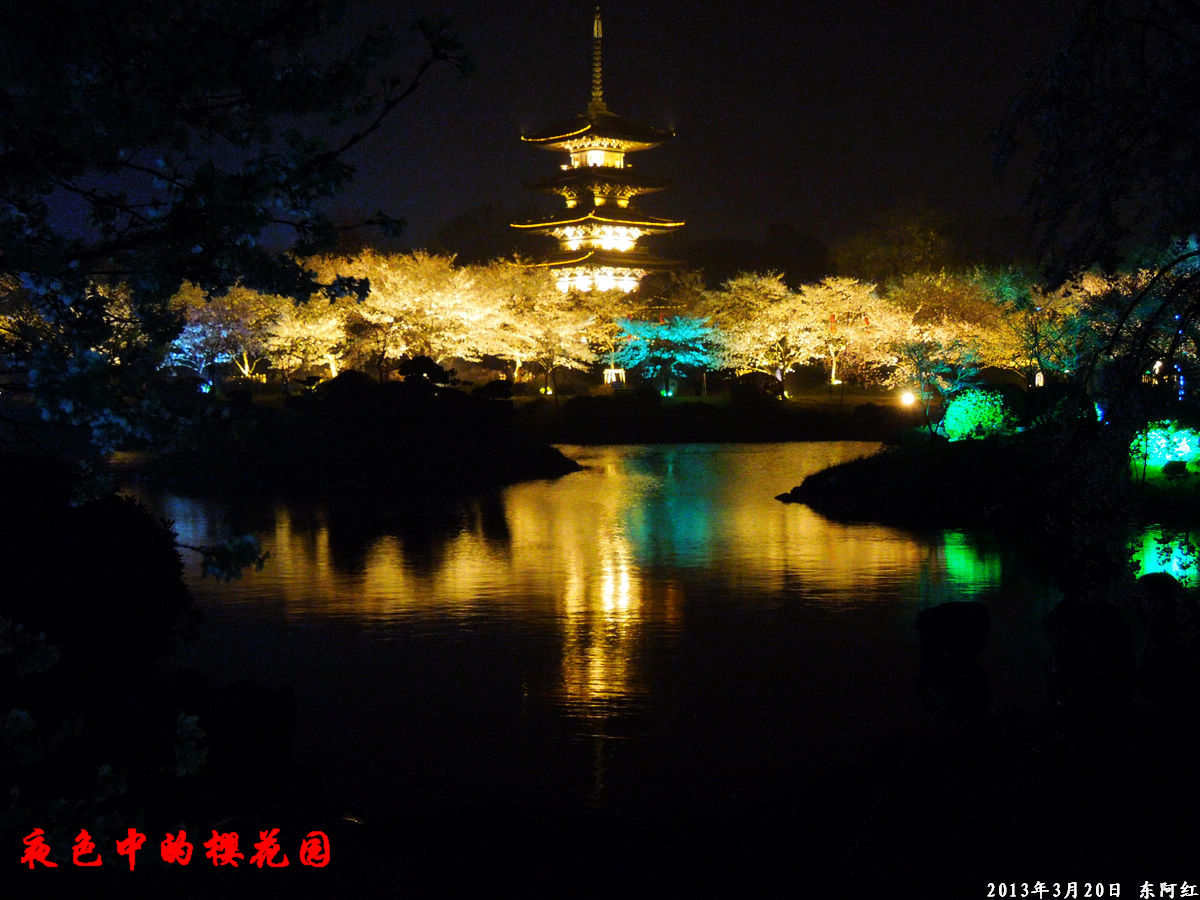 dscn6487.jpg