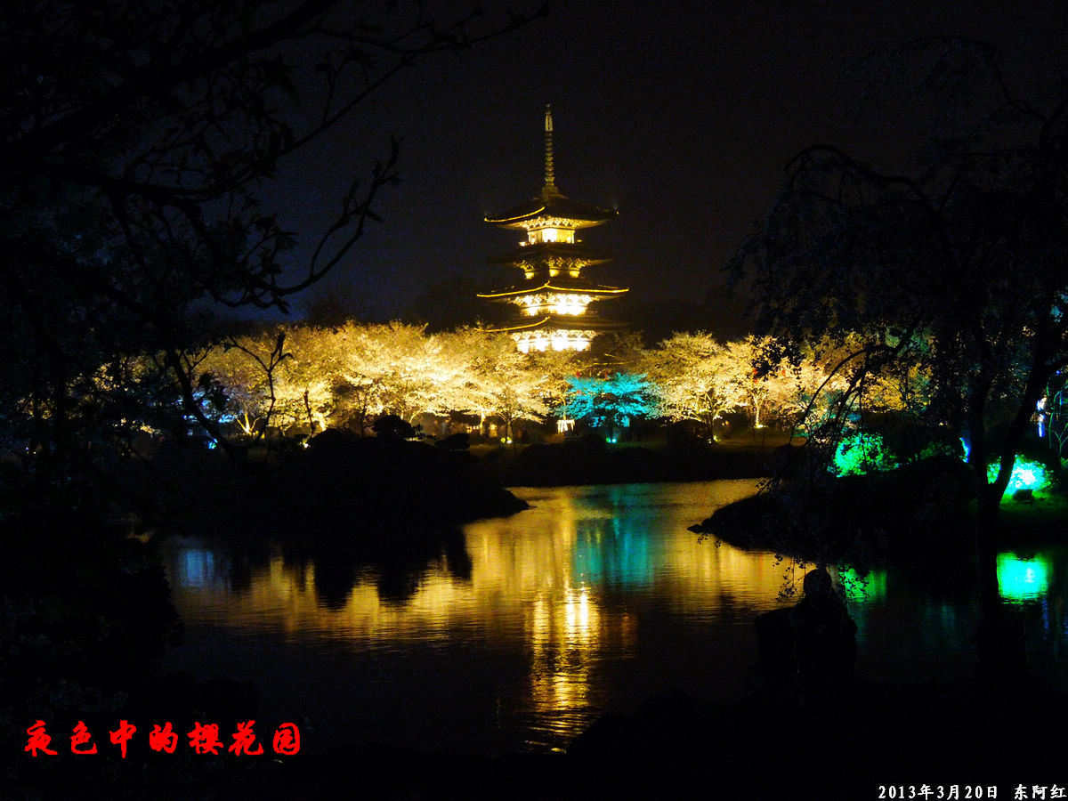 dscn6486.jpg
