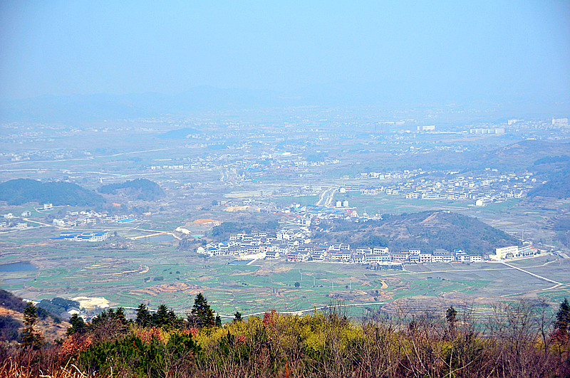 dsc_9504_.jpg
