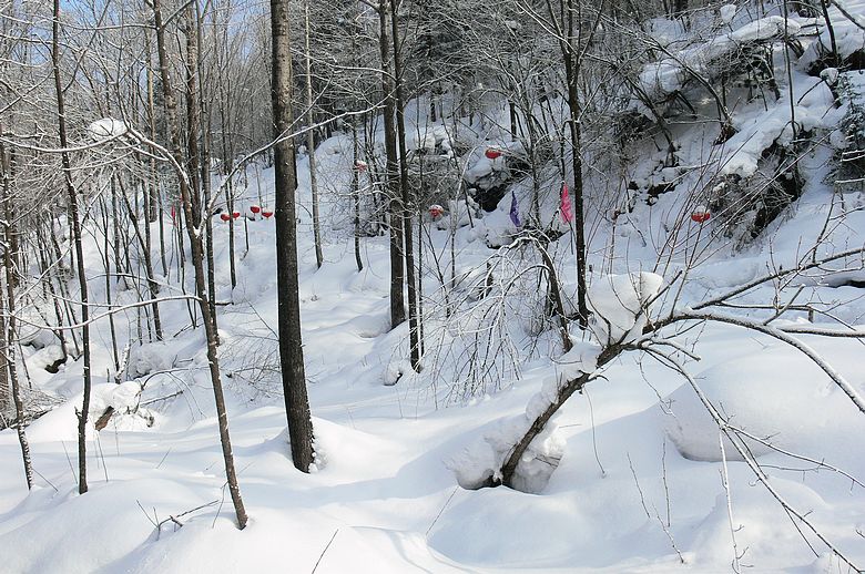 p1250246.jpg