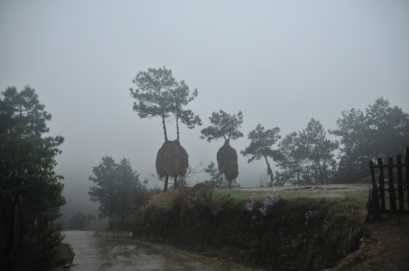 dsc_9831_.jpg
