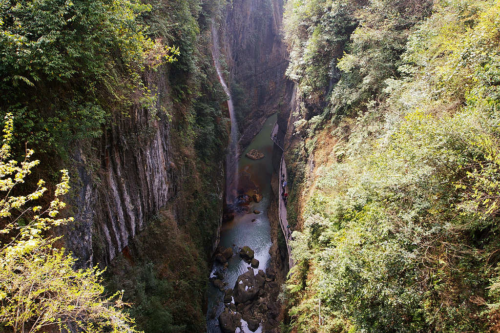 imgp4488.jpg