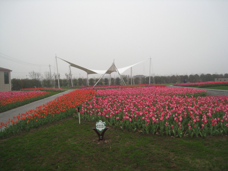 conew_img_7519.jpg