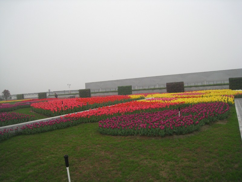 conew_img_7523.jpg