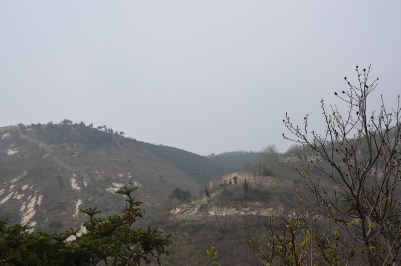 dsc_0896a.jpg