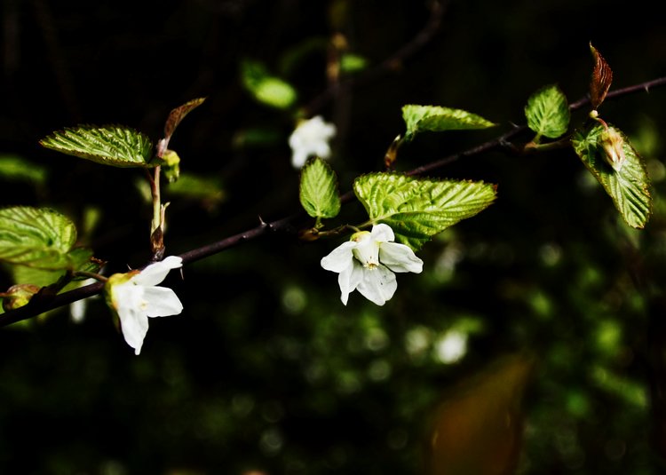 _mg_3671.jpg