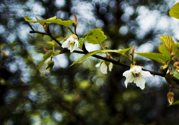 _mg_3673.jpg