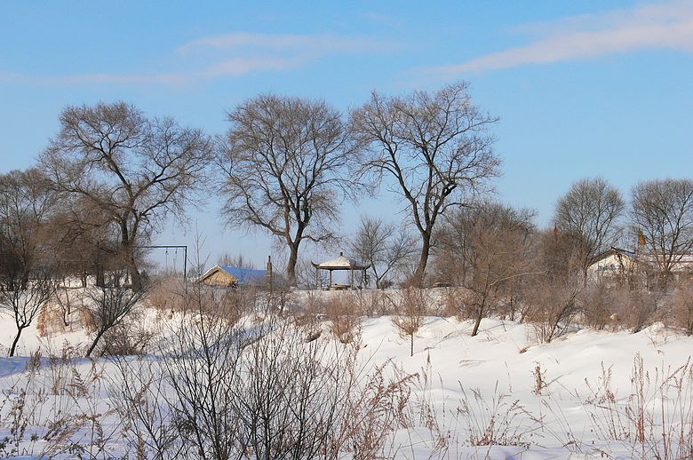 p1250557.jpg
