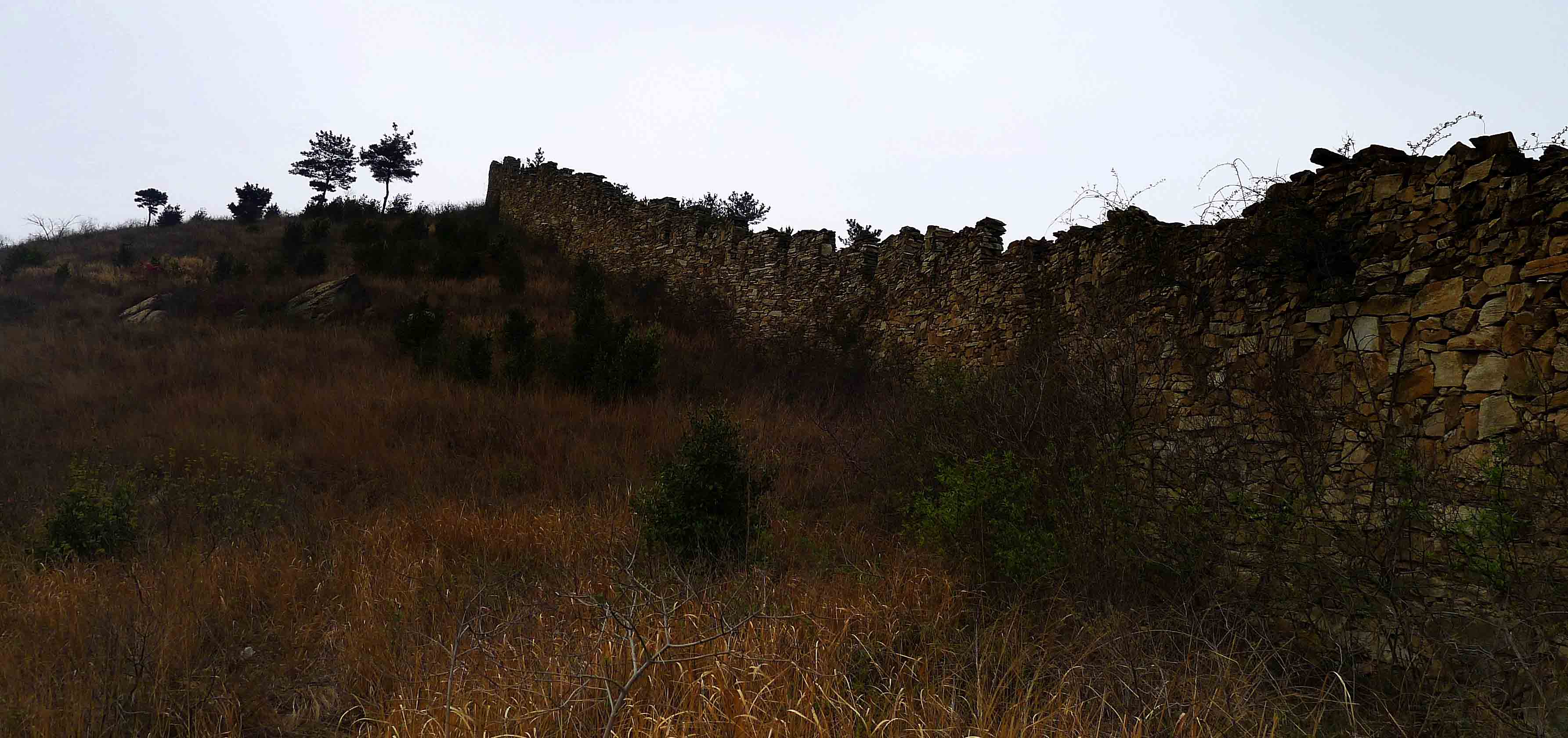 p1100741.jpg