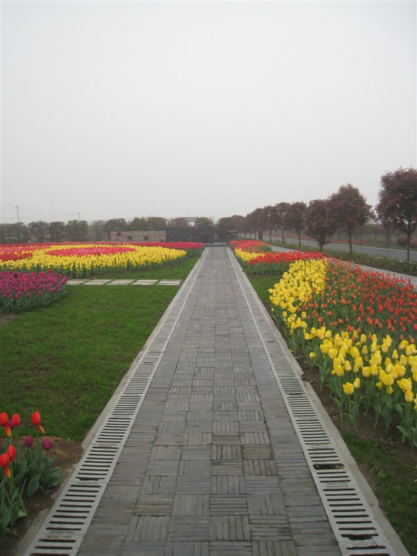 13.jpg