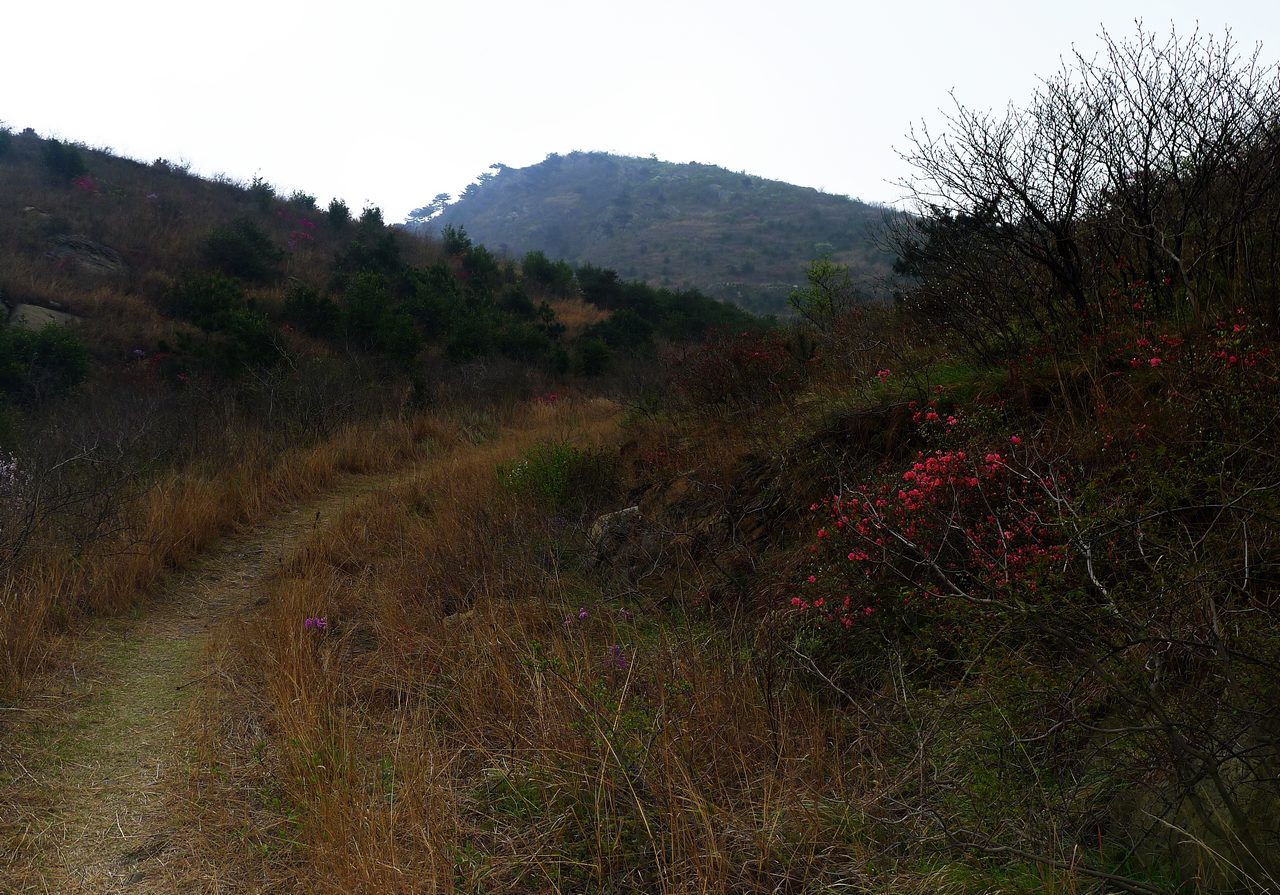 p1100747.jpg