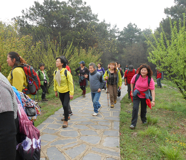 dscn0183.jpg